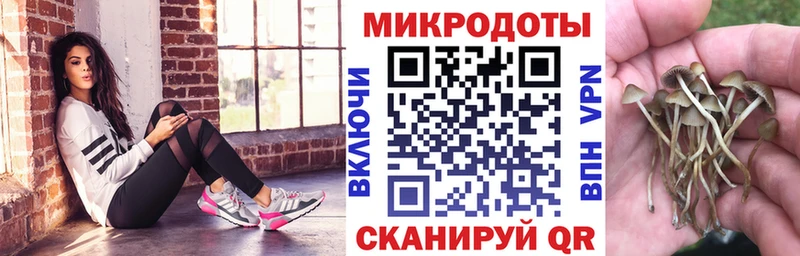 Галлюциногенные грибы ЛСД  МЕГА ССЫЛКА  Тотьма  где купить  
